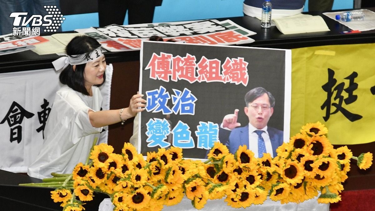 民進黨立委在議場內高舉太陽花。（圖/胡瑞麒攝）