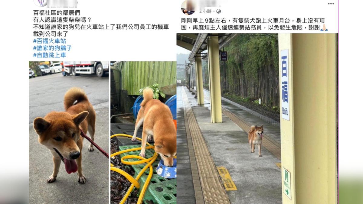 迷途火車站又跳上陌生人機車,警民合力送萌柴回家。(圖/警方提供)
