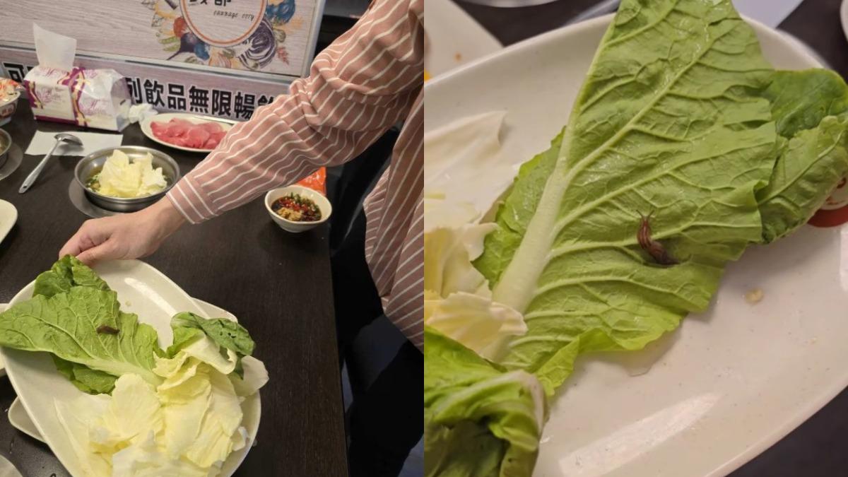 錢都也出包!白菜上驚見「活體蛞蝓」蠕動 業者道歉:清洗時沒發現