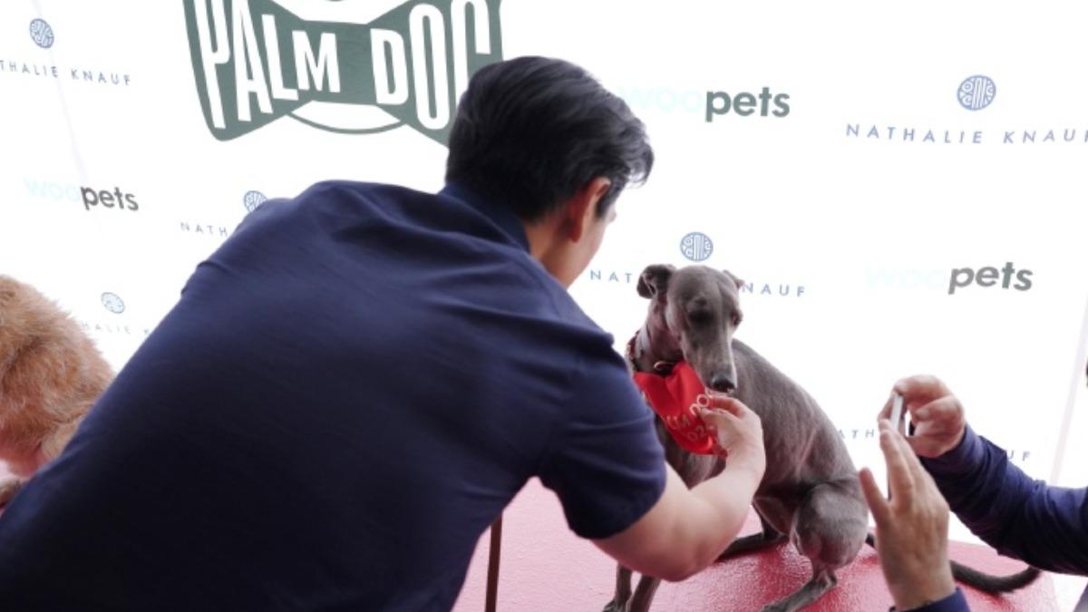 彭于晏非常疼愛愛犬小辛。(圖/翻攝自彭于晏微博)
