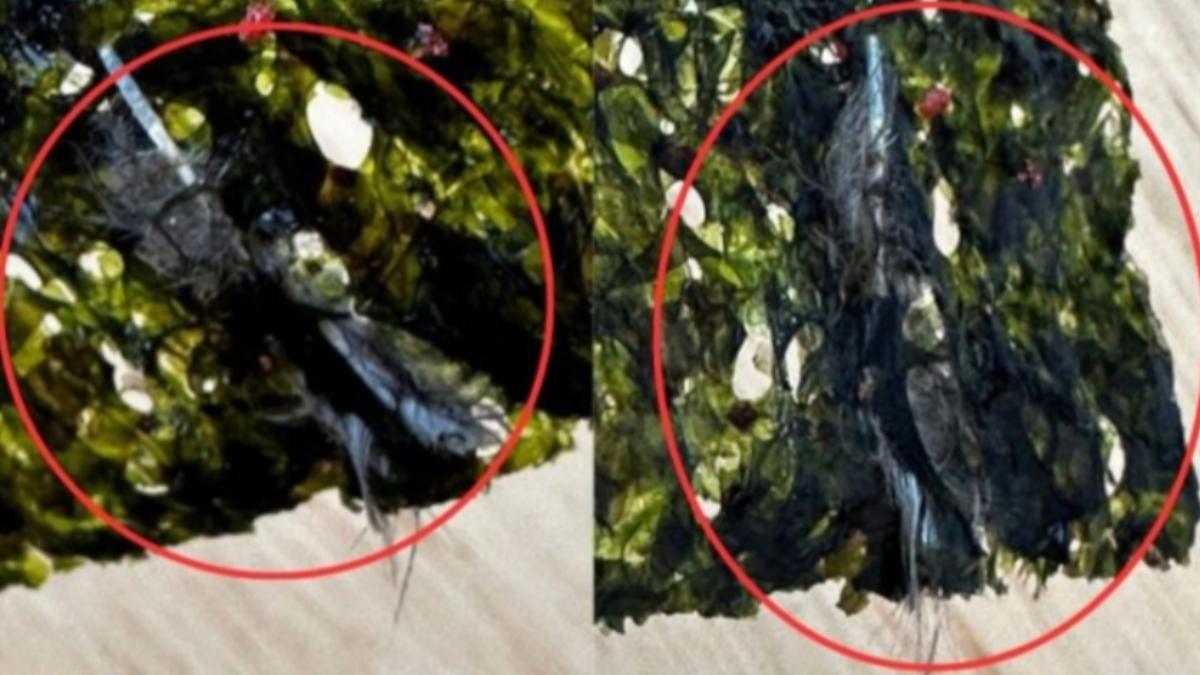 韓國海苔意外混入「鳥類羽毛」 他差點吃下肚噁心狂吐