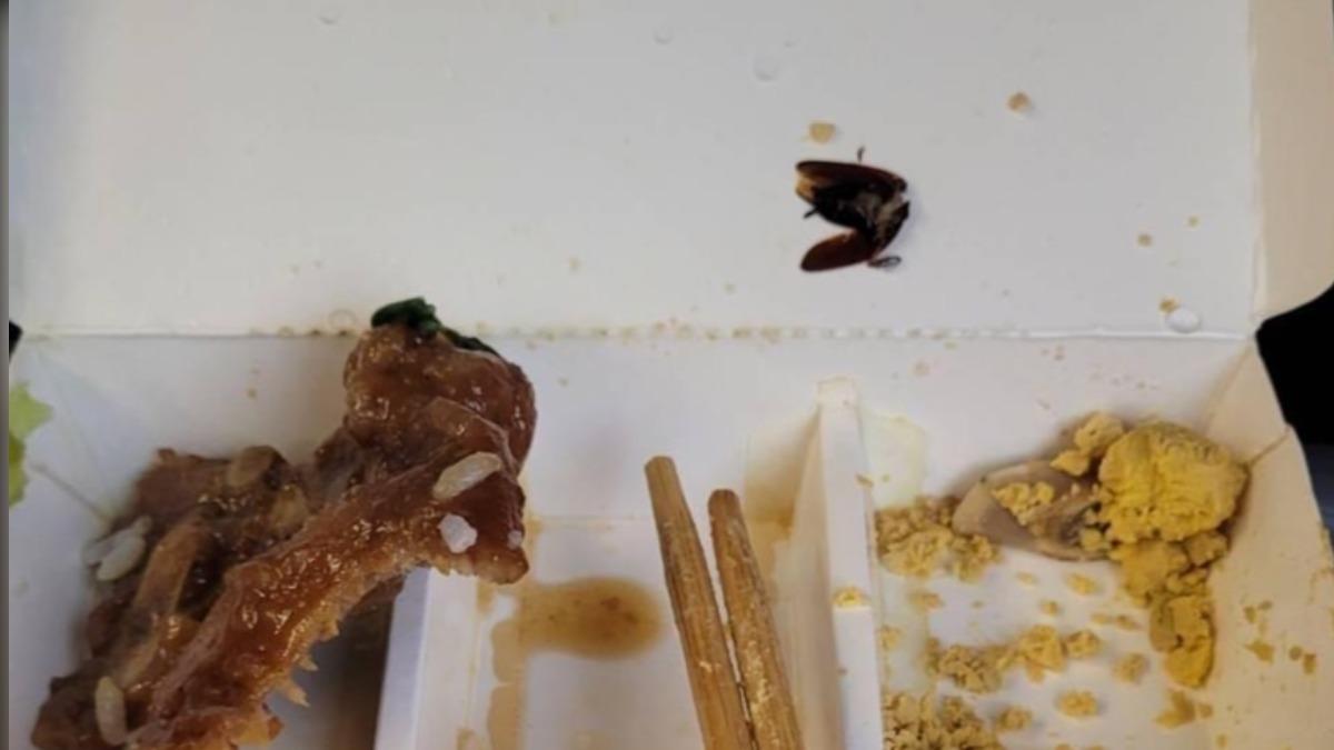 噁！台鐵便當驚見高蛋白食材　「半截大蟑螂」嚇壞旅客