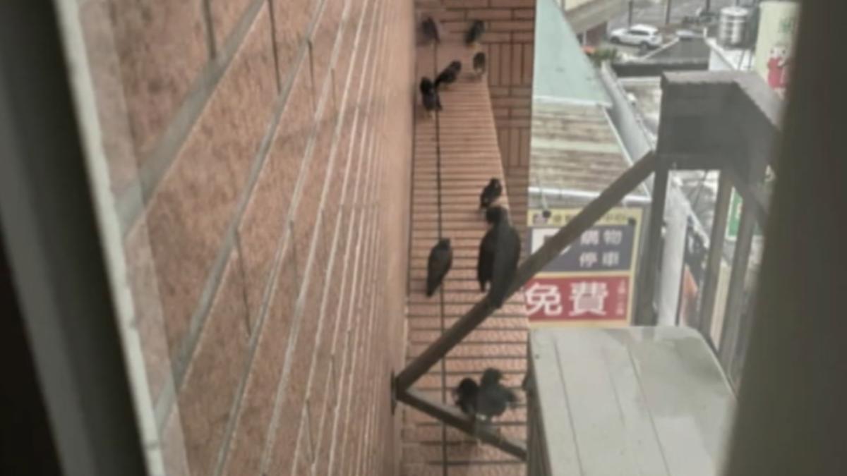 圖/翻攝 民眾提供