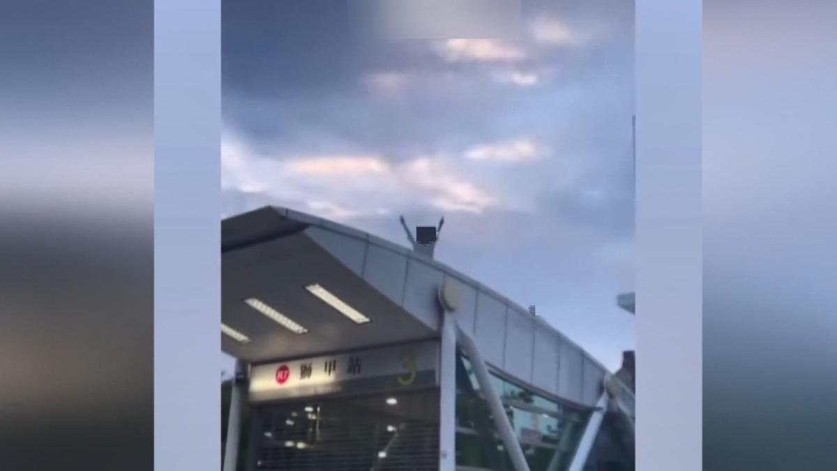 圖/翻攝自 當事人IG