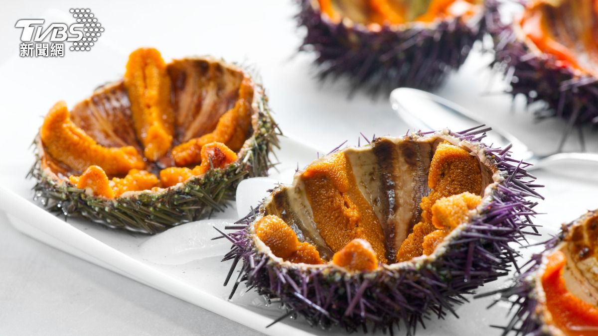 海膽控必看!專家揭「4大」超神優點 這類人食用要小心