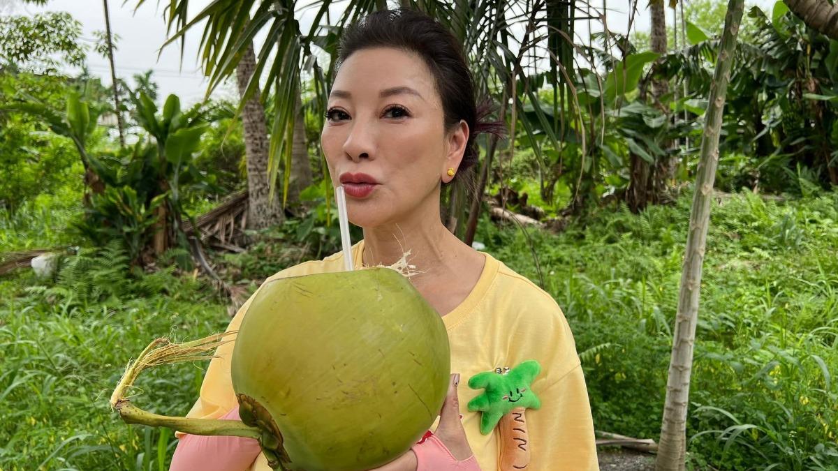 詐團假帳號「教認準藍勾勾」!楊繡惠遭冒用氣炸:真的沒政府