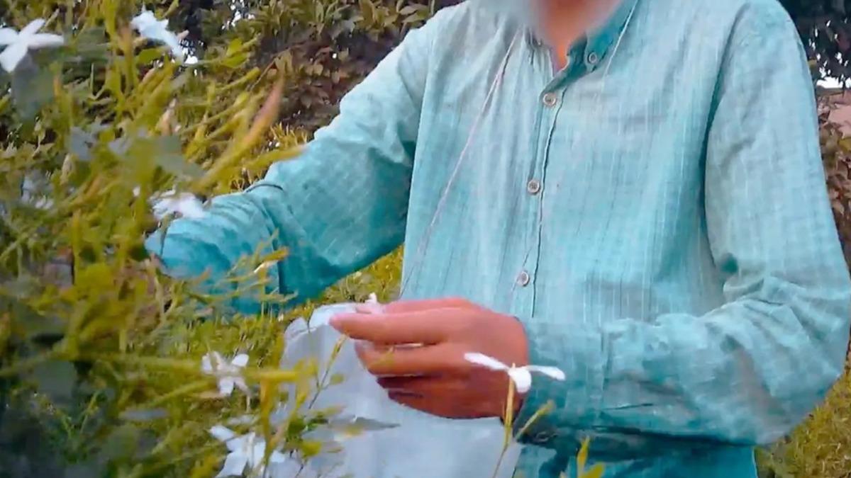 包含蘭蔻品牌香水,均大量使用埃及童工採摘的茉莉花作為原料。(圖/翻攝自BBC)