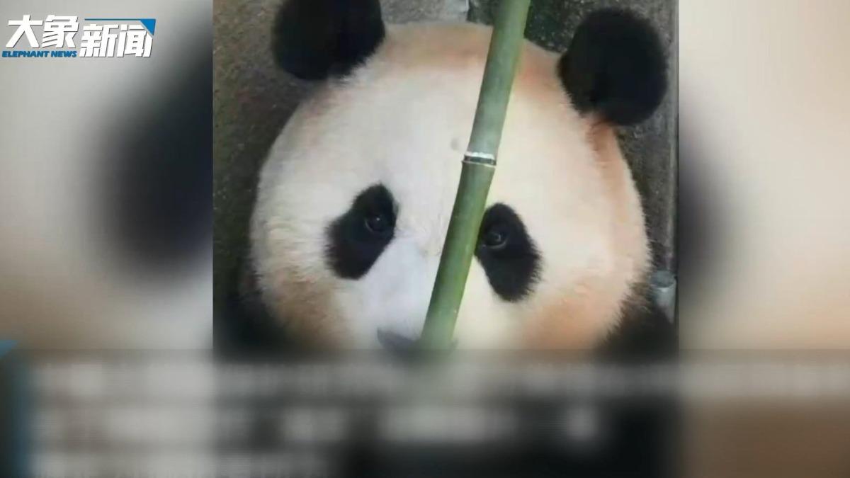 圖/翻攝自微博 大象新闻
