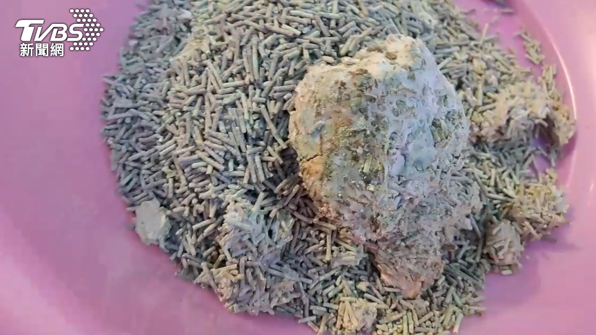 將貓砂倒出後,可見結塊的部分有如拳頭大小,上面還有白絲纏繞。(圖/TVBS)