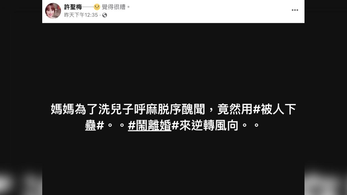許聖梅對狄鶯的說法難以接受。（圖／翻攝自許聖梅臉書）