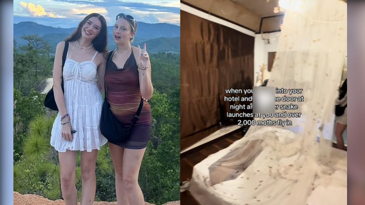 恐怖電影成真！女住泰旅館上千隻蛾滿天飛　眼鏡蛇張口猛撲