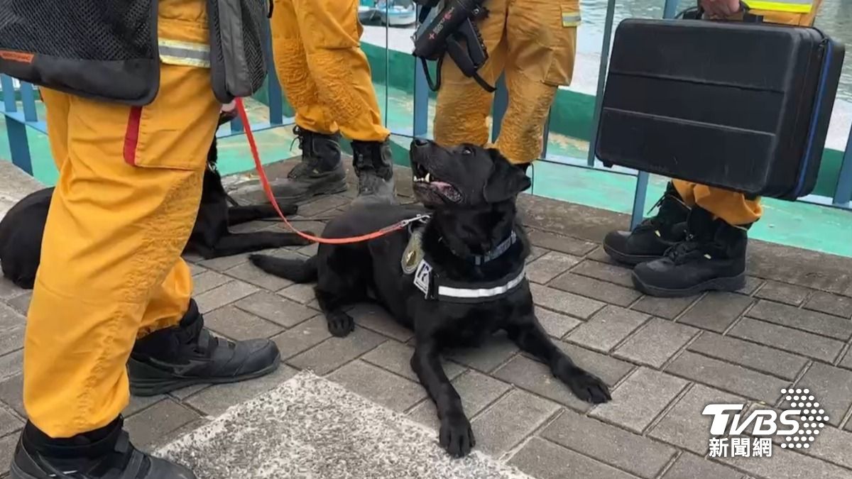 臺北消防派搜救犬趕赴現場待命。(圖/TVBS)