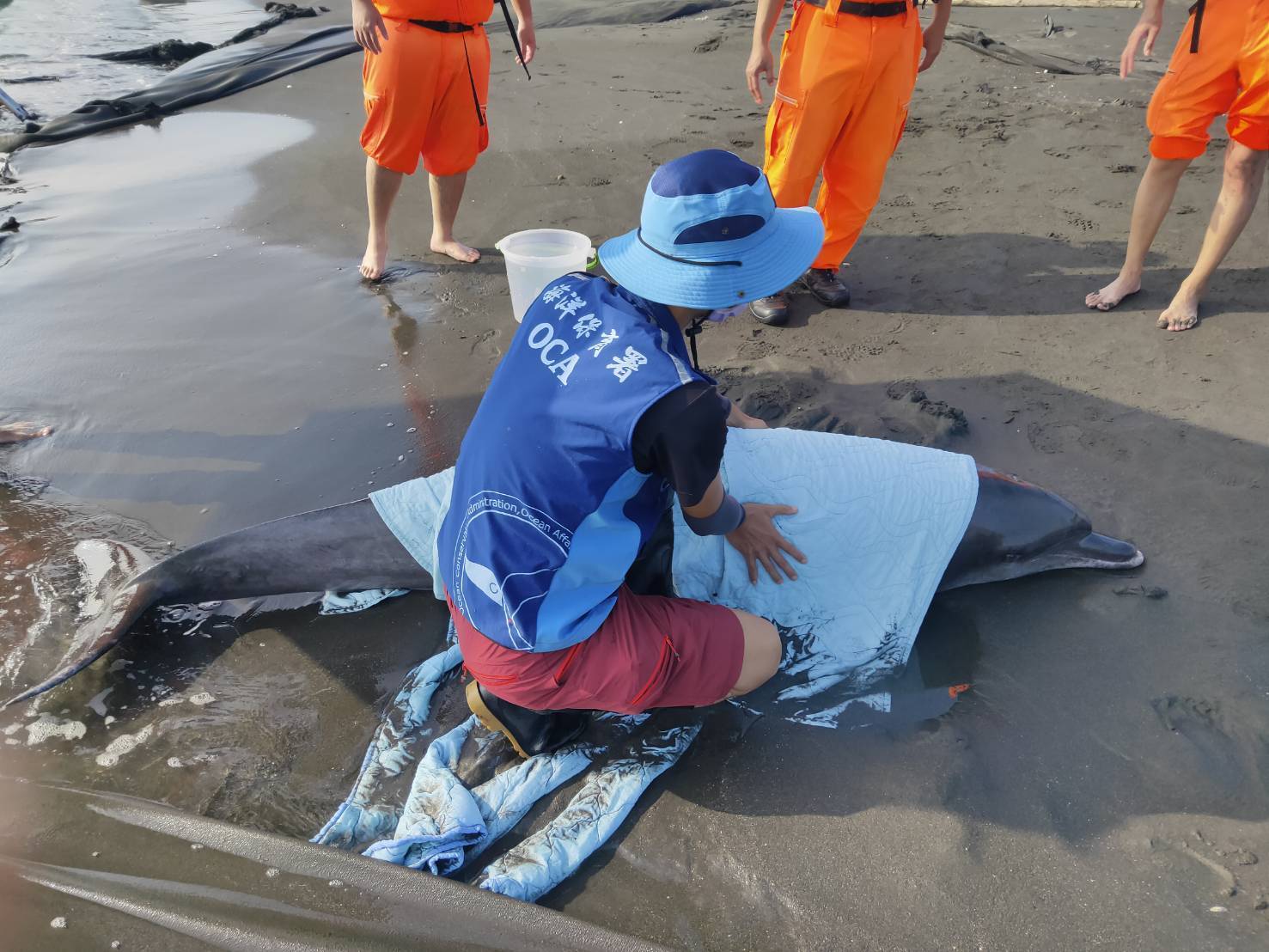 海保署新增海洋保育站點 徵巡查員起薪近4萬元
