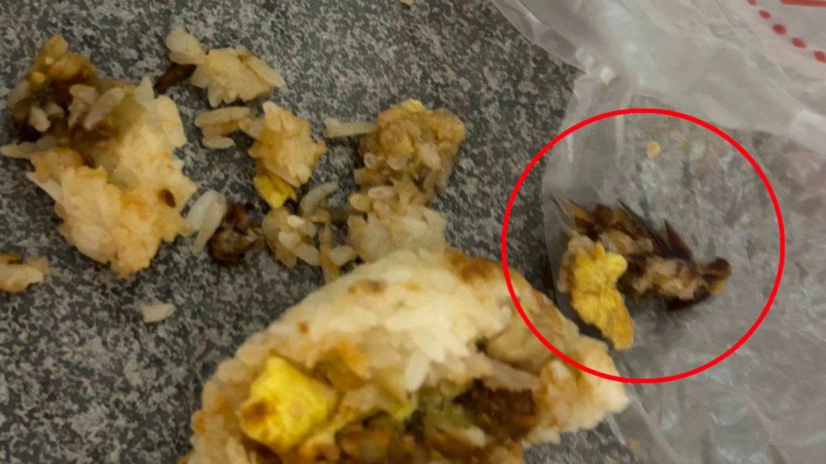 飯糰有蟑螂!台南女吃到「爆裂感」崩潰嘔吐 男友爆氣求償