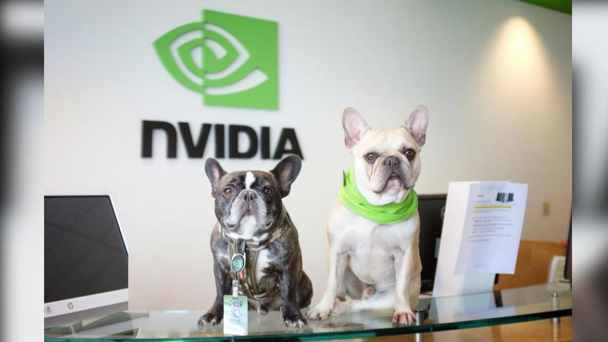 輝達(NVIDIA)美國矽谷總部允許狗狗一起上班。(圖/翻攝自 NVIDIA)