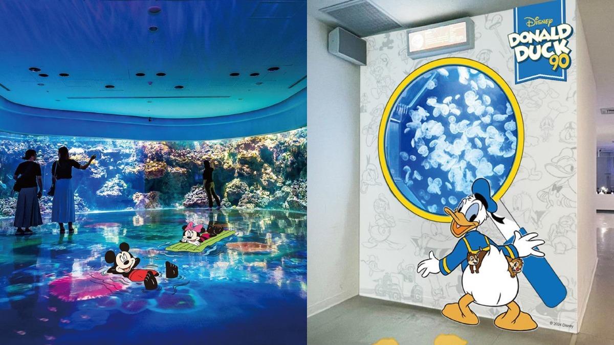 迪士尼粉集合!「唐老鴨」跨界合作Xpark 加碼送造型零錢包