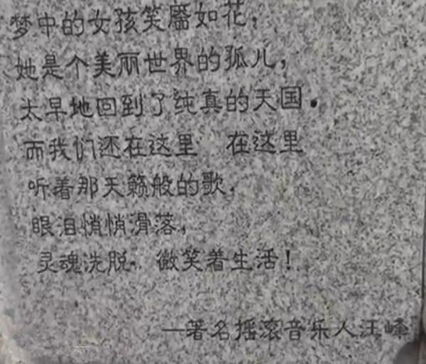 汪峰寫下,「夢中的女孩笑靨如花,他是個美麗世界的孤兒」。(圖/翻攝自微博)