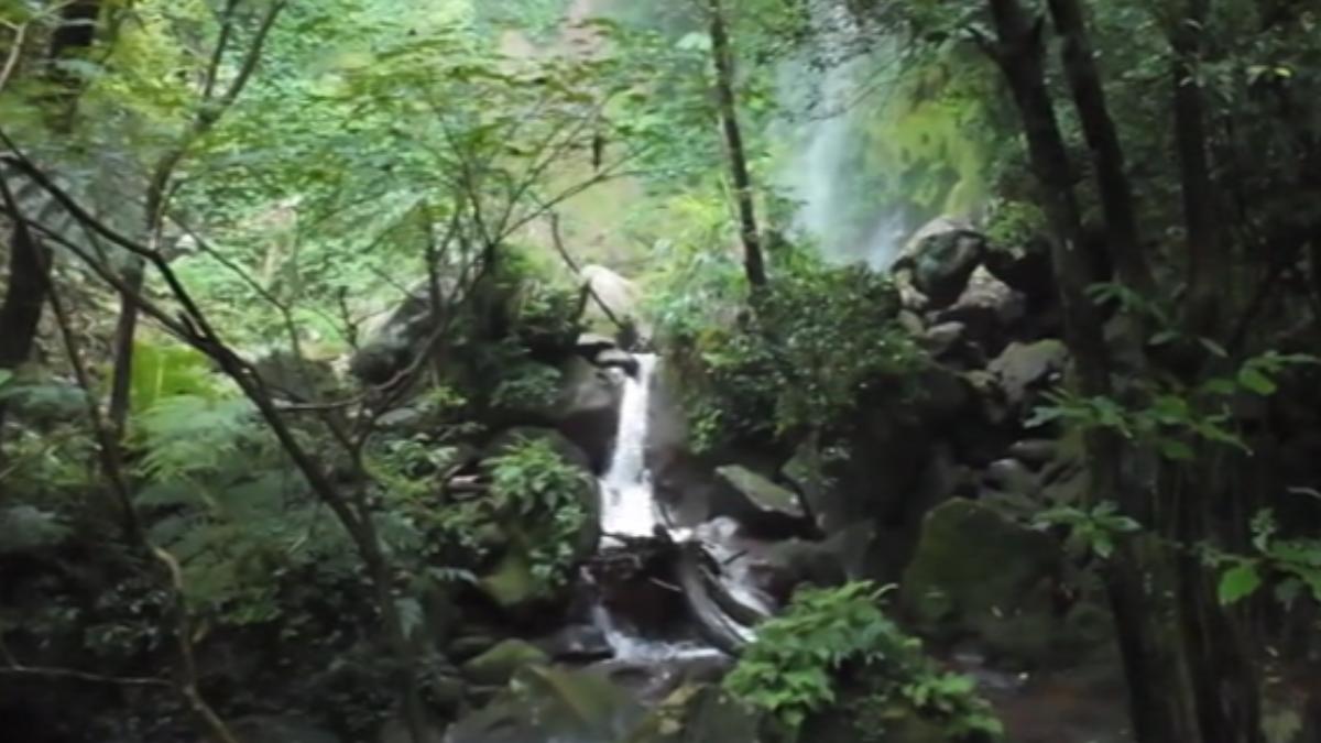圖／翻攝FB自 發現陽明山
