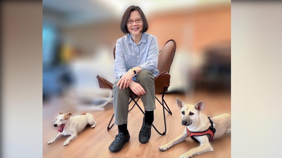蔡英文上週才跟大家分享退役搜救犬樂樂跟米克斯「旺萊」的近況。(圖/翻攝自蔡英文臉書)