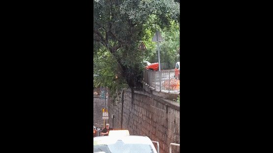 紐西蘭女遊客被撞飛，從約2層樓高處墜落路面。（影像／讀者提供）