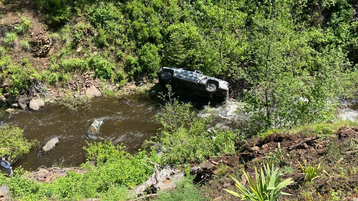 人類最忠實夥伴！主人開車過彎太快墜山谷　靈犬飛奔6公里求助