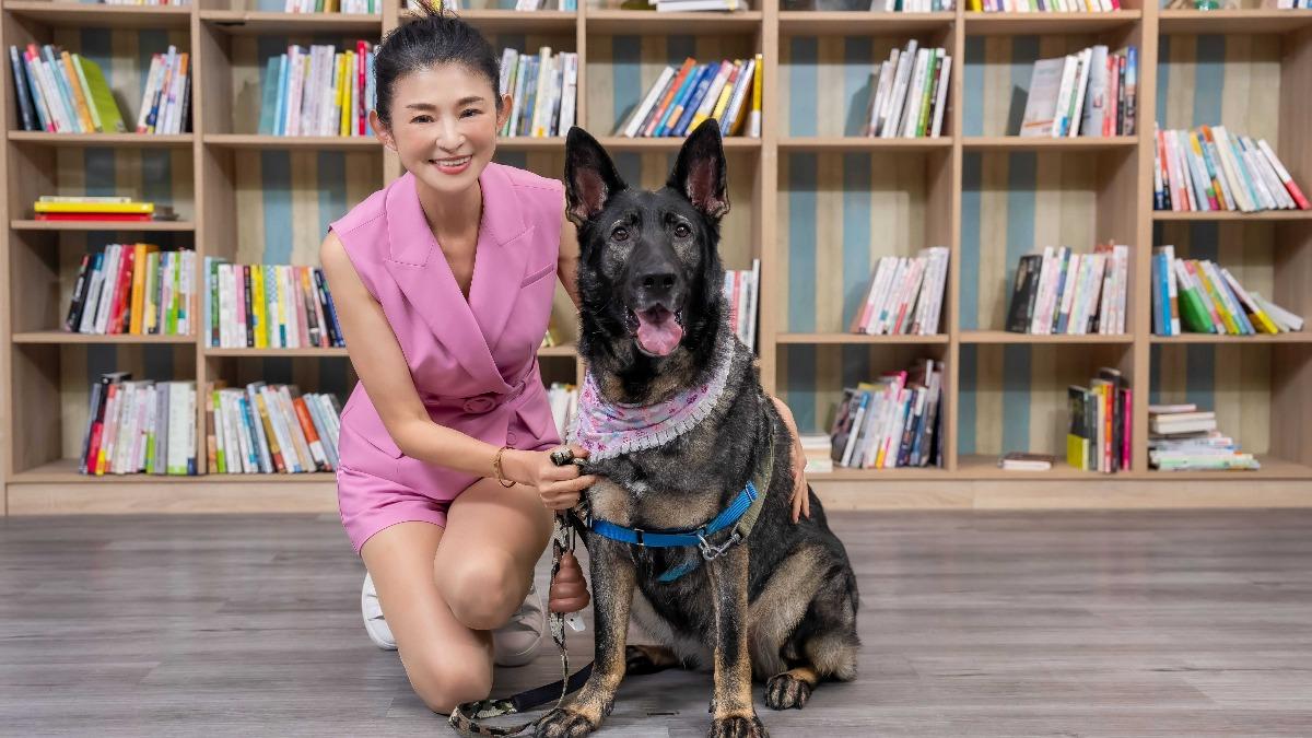 蘇宗怡哽咽!不捨退休工作犬罹癌發聲 得知噩耗氣氛低迷