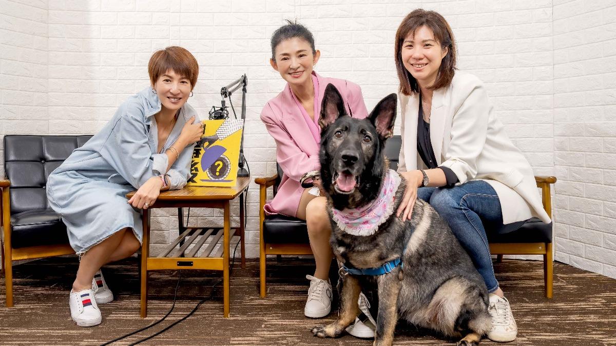 《台灣工作犬發展協會》理事長關心羚(右)與蘇宗怡(中)一同錄製Podcast節目《新聞幕後》,與主持人夏嘉璐暢聊工作犬現況 (圖/TVBS)