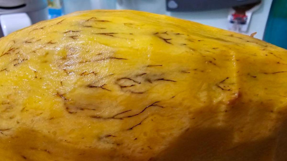 玉文芒果1顆80元「竟佈滿黑色樹根」!農業部:可安心食用
