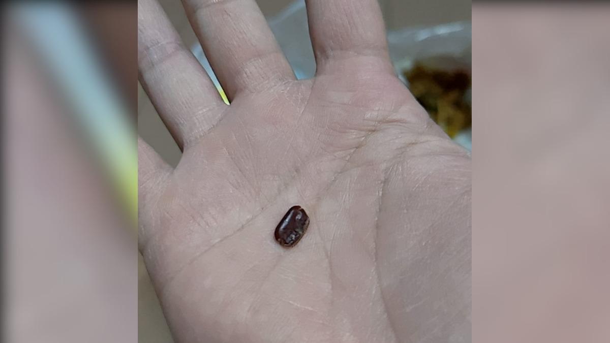 不是紅豆!水餃吃一半竟「咬破蟑螂蛋」 一票人崩潰喊:已孵化