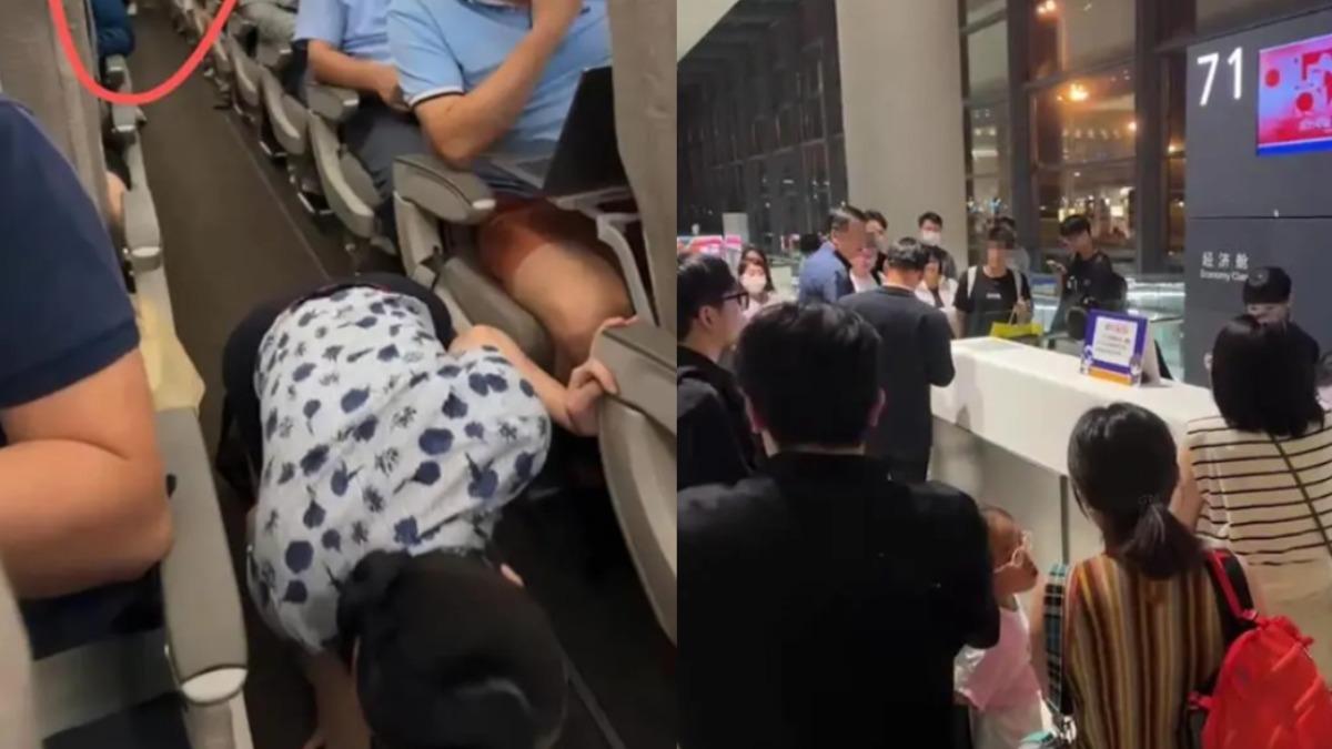 陸女偷帶寵物搭機「牠卻脫逃」!乘客全被趕下機 空姐滿地找