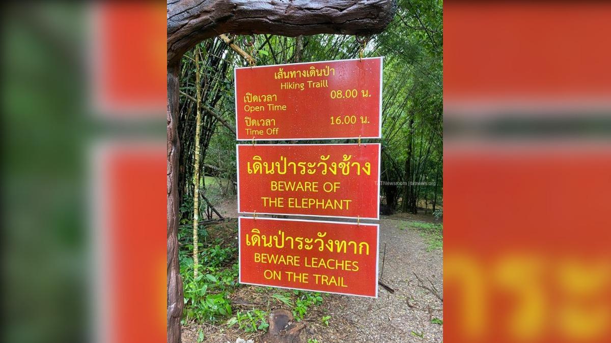 南瑙國家公園內可以見到提醒民眾「小心大象」的告示牌。(圖/翻攝自X@socialbook1)