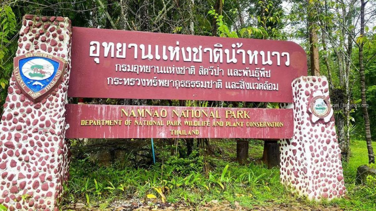 摸黑闖國家公園採蘑菇! 泰61歲男驚動母象被踩死倒臥血泊