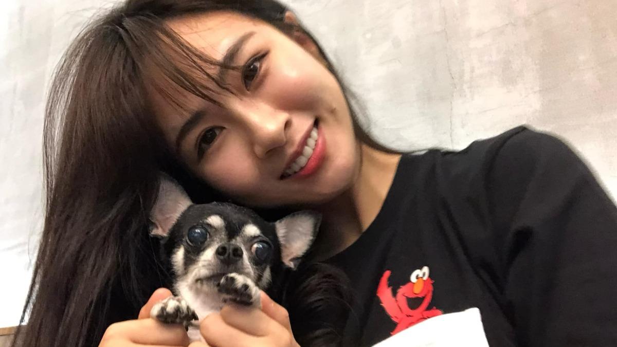 鄧福如相當疼愛鼠鼻,而愛犬也見證她從人妻升格人母。(圖/翻攝自鄧福如臉書)