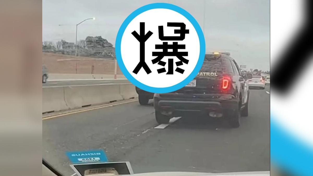 美國女被警追緝!站車頂表演「脫衣秀」 老司機路過超激動