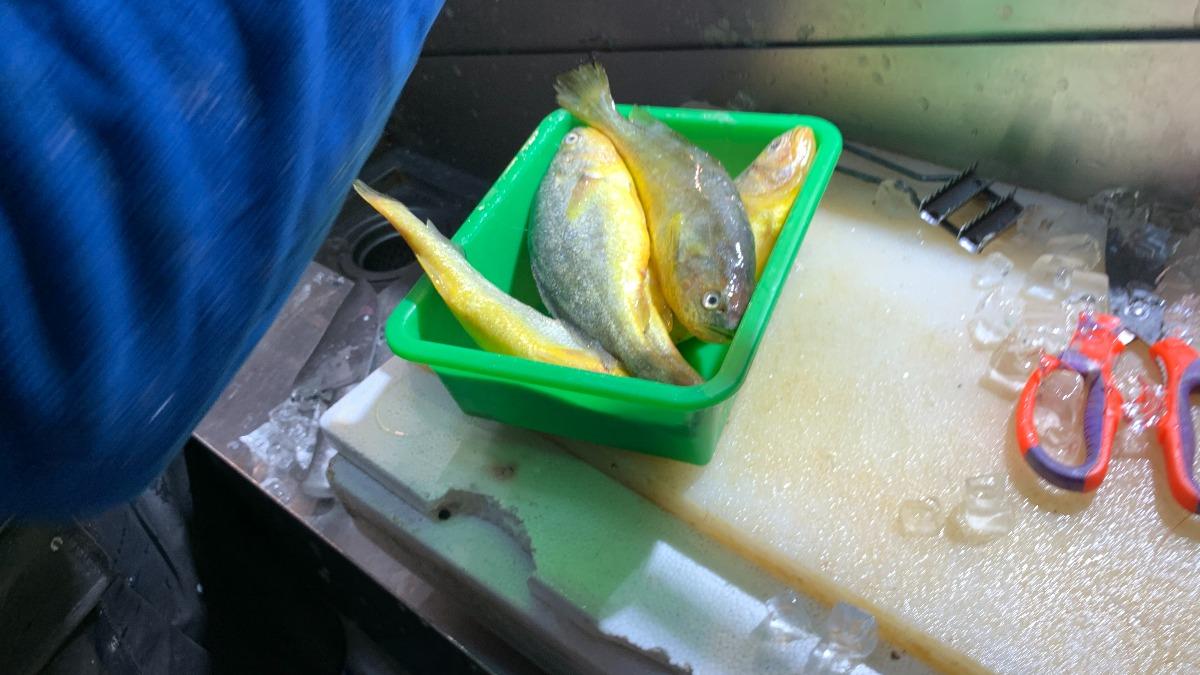 南門市場商家李碧綺號(南門鮮魚號)「黃魚」檢出不得檢出的還原型結晶紫。(圖/北市衛生局提供)