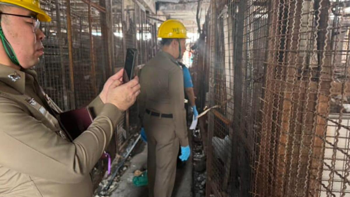 被火燒過的市集現場可見密集的寵物籠子。（圖／翻攝自 FB）