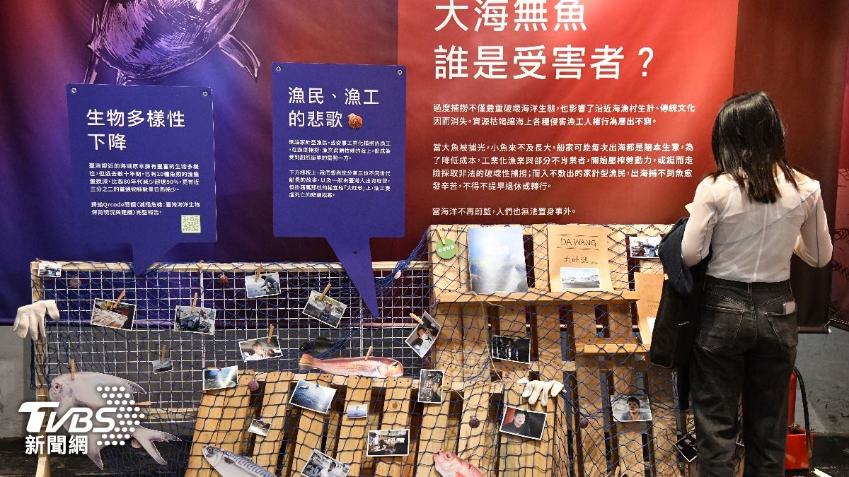 地球超載日不斷提前,也造成生物多樣性下降,將帶來不可逆傷害。(圖/胡瑞麒攝)