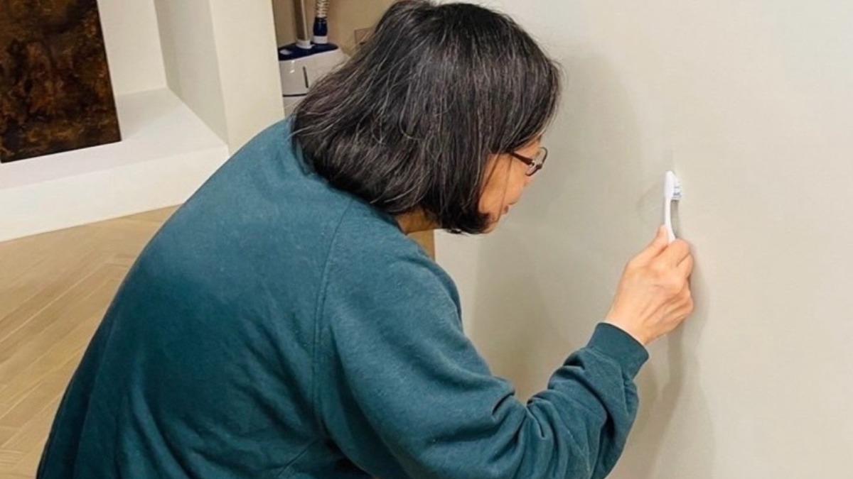 蕭美琴提醒蔡英文退休「做室內設計」 釣出本人親回:還在努力中