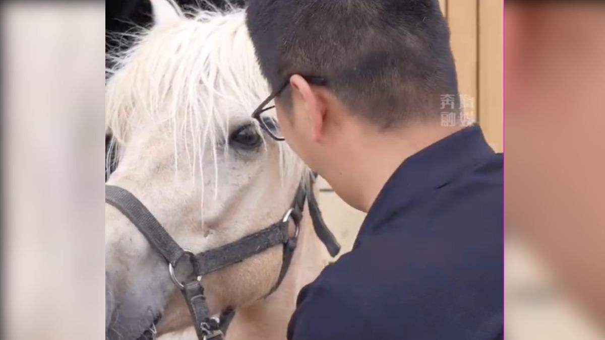這匹馬價值近9萬新台幣。(圖/翻攝自微博)