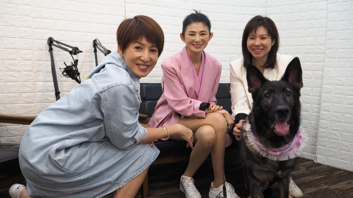 有洋蔥!只為救活牠 《新聞幕後》揭罹癌退休工作犬心酸故事