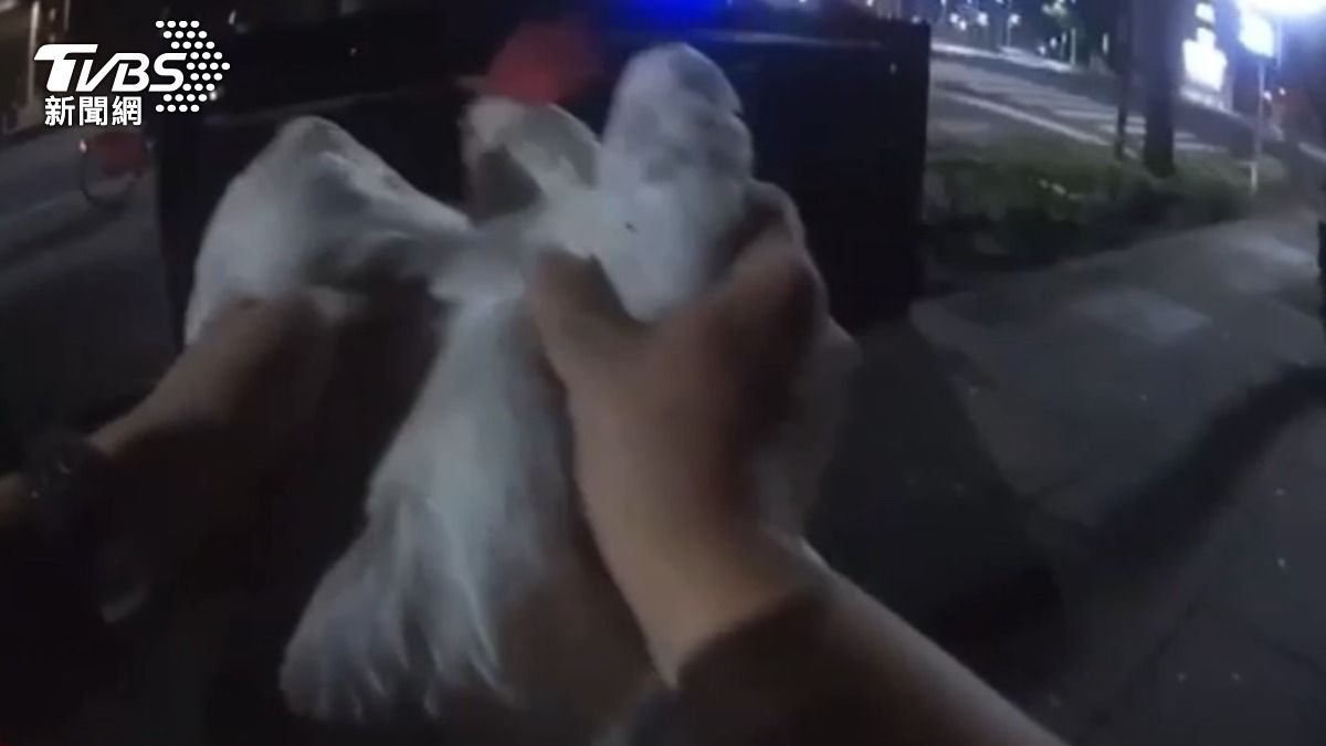 員警成功將公雞補獲,氣喘吁吁的帶上警車。(圖/TVBS)