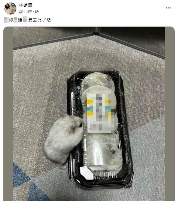 林靖恩突飆罵五字經。(圖/翻攝自林靖恩臉書)