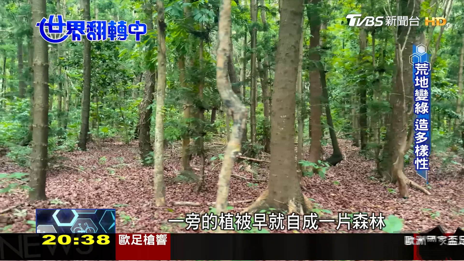 圖／TVBS
