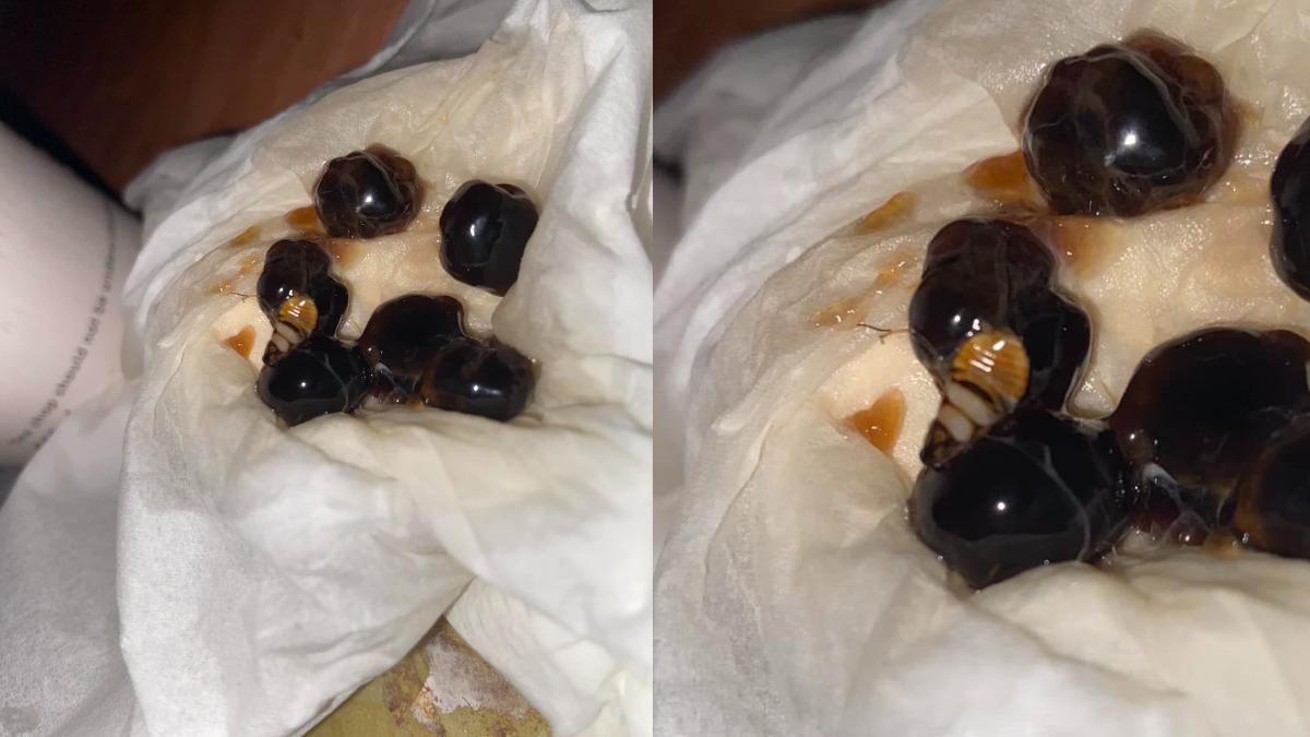 手搖飲也淪陷!喝珍奶咬到爆漿 妹子吐出來「驚見整隻蟑螂」