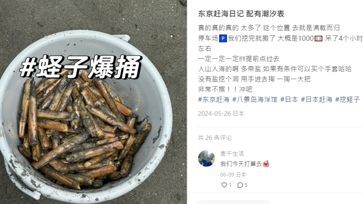 許多中國人在小紅書分享趕海資訊。（圖／翻攝自小紅書）