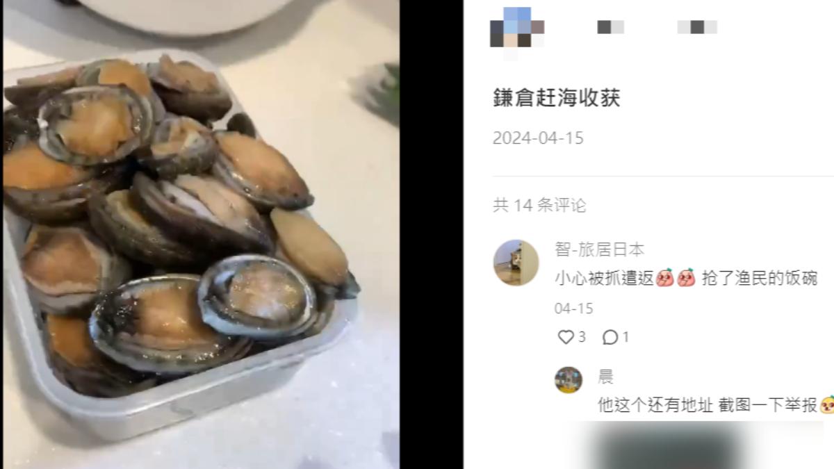 中國人在日本開設的民宿，分享鎌倉趕海資訊。（圖／翻攝自小紅書）