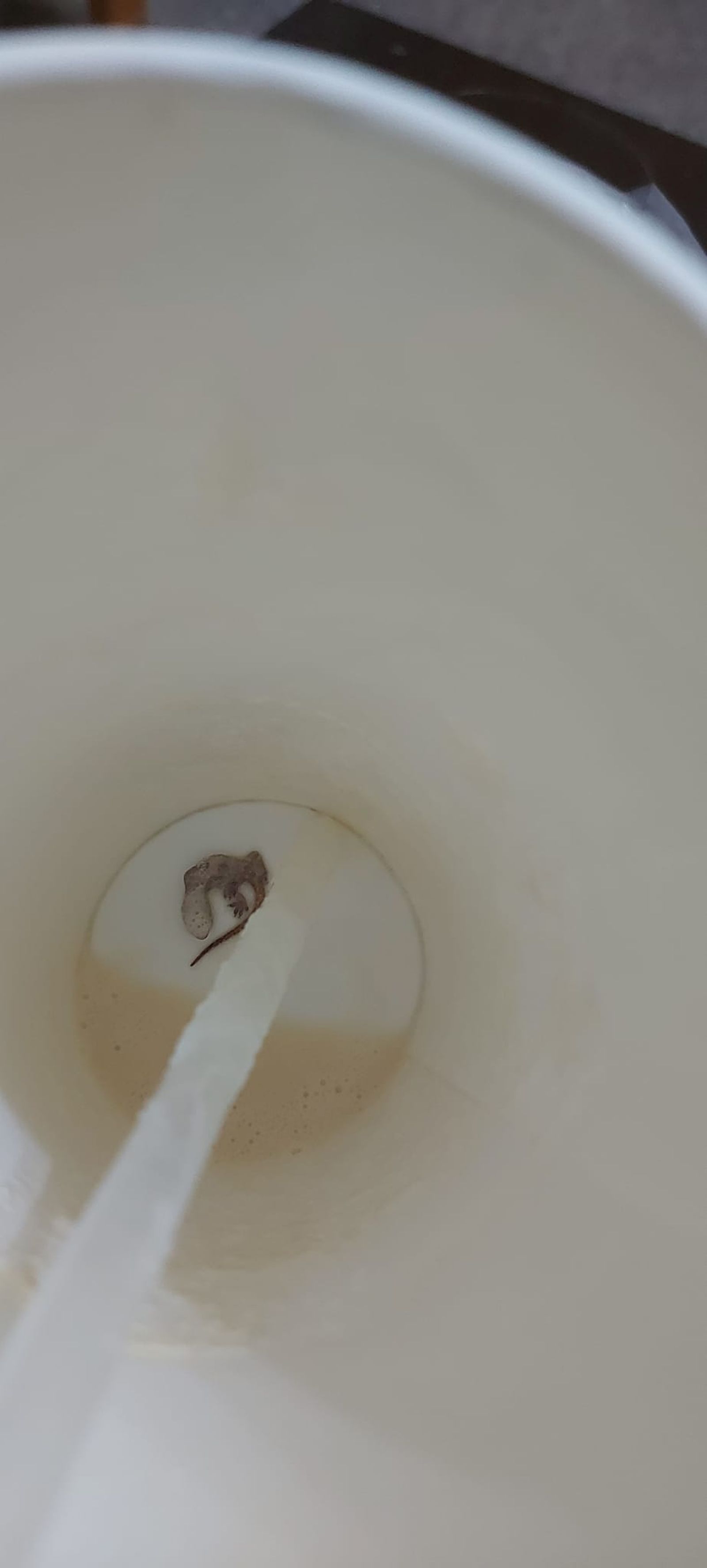 有網友喝奶蓋喝到最後，發現杯子裡面竟然有類似「茶葉」的異物。（圖／翻攝自爆料公社二社）