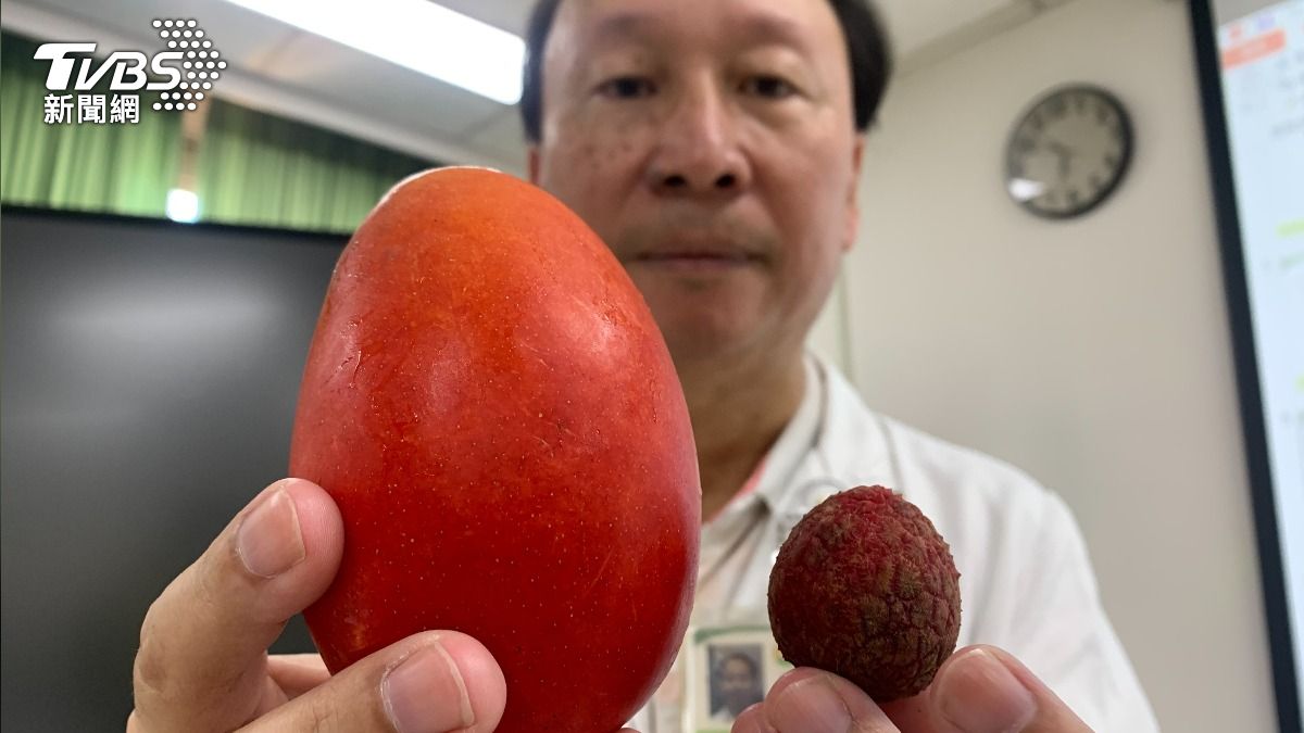 台中男走路像企鵝!脫褲驚見「睪丸腫如芒果大」 急切除搶命