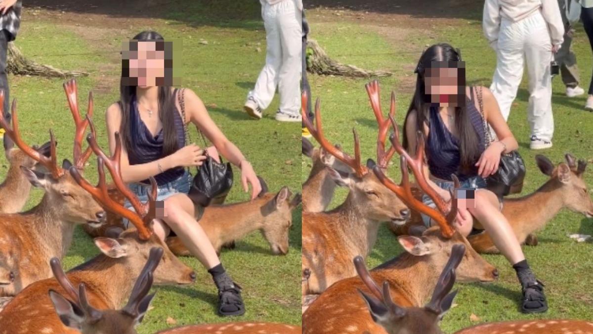 短裙妹拍照疑「硬坐奈良鹿」!小鹿眼神死畫面曝 掀全網撻伐