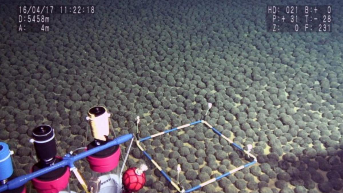 日海域5千公尺深處藏「水底黃金」　發現2億噸含稀有金屬錳結核